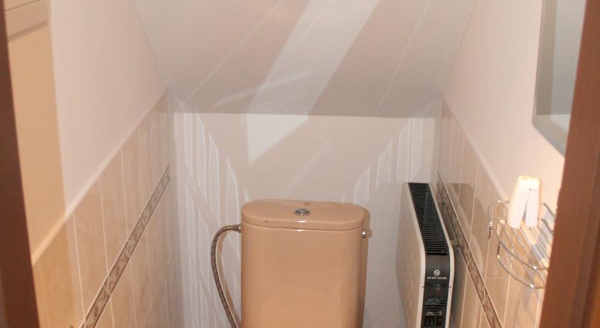 アパートメント プジーブラム Příbram 部屋 写真
